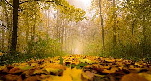 Living Life with Meaning & Purpose:  a Silent Weekend Retreat