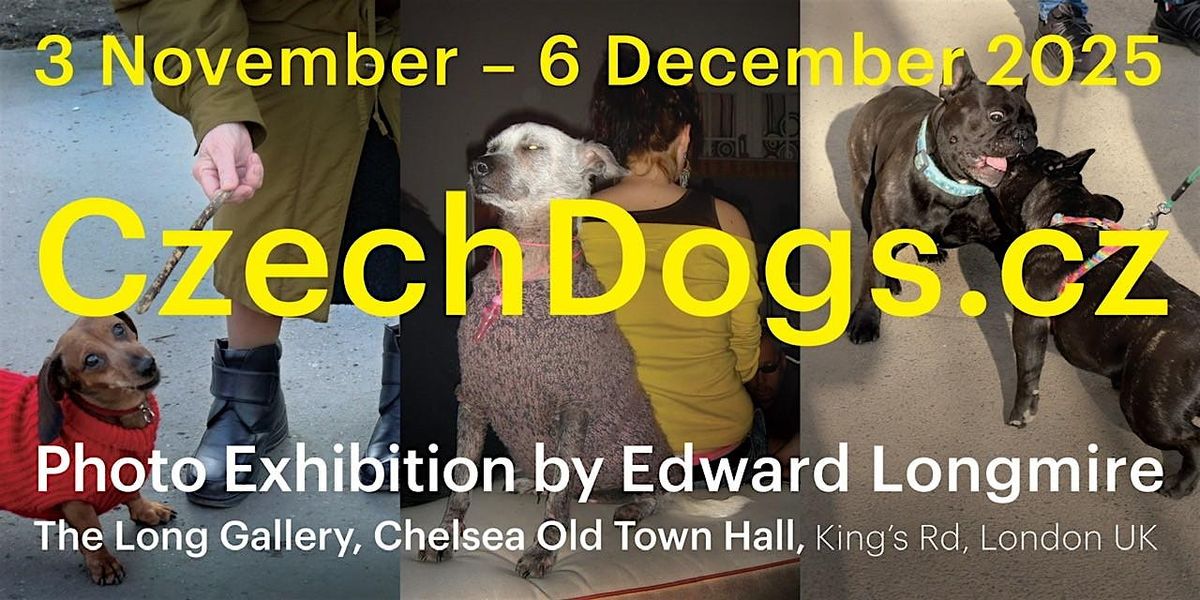 Exhibition: Dogs In The Czech Republic, 2004 - 2024