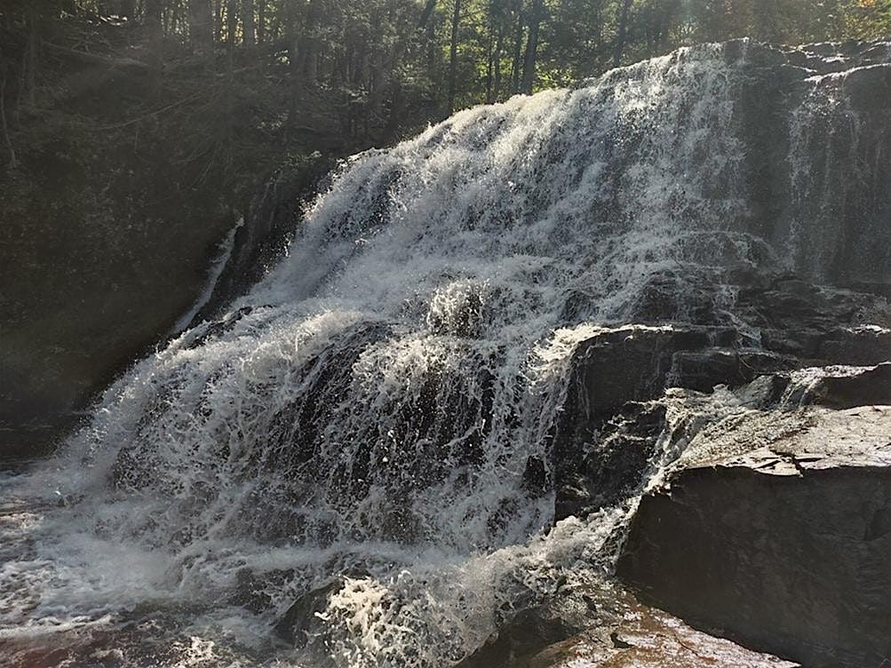 Field Trip: Outdoor Meditation & Trek at Wadsworth Falls