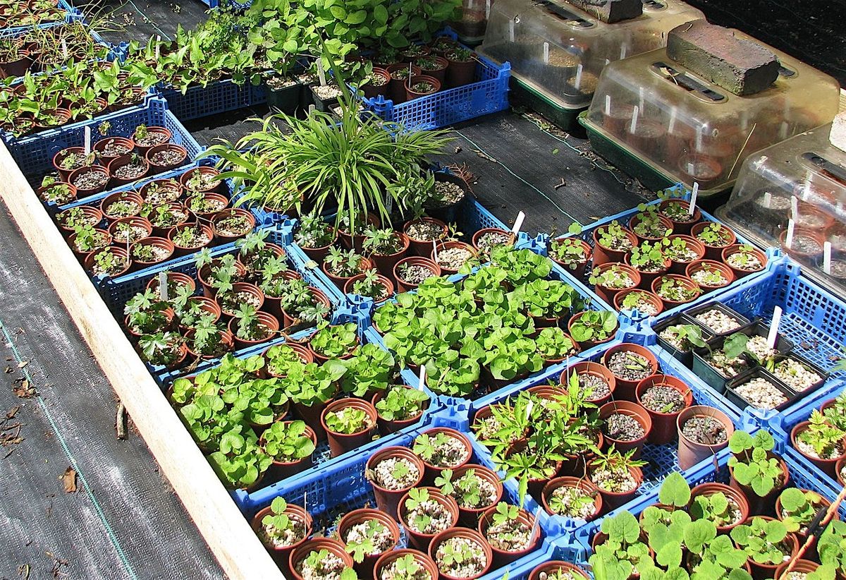 Early Spring Veggie & Seed Potting Party