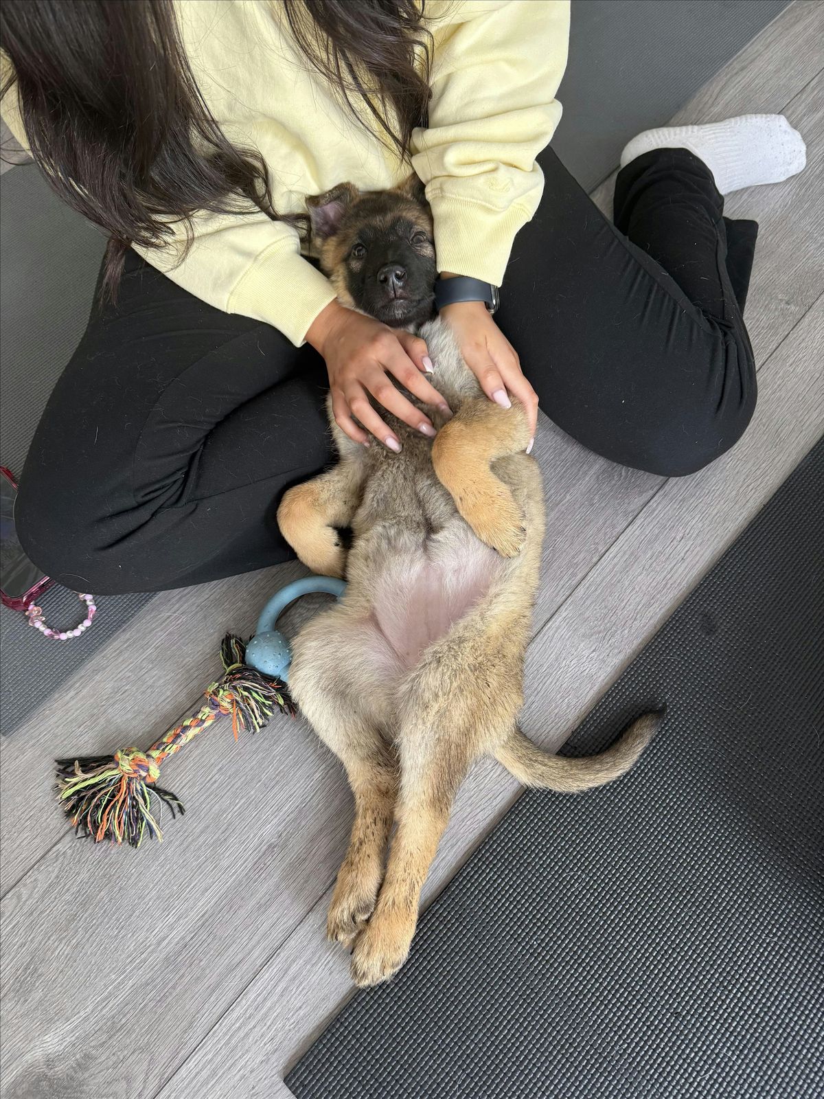 Puppy Yoga, Cuddles & Playtime (2-4-1 OFFER)