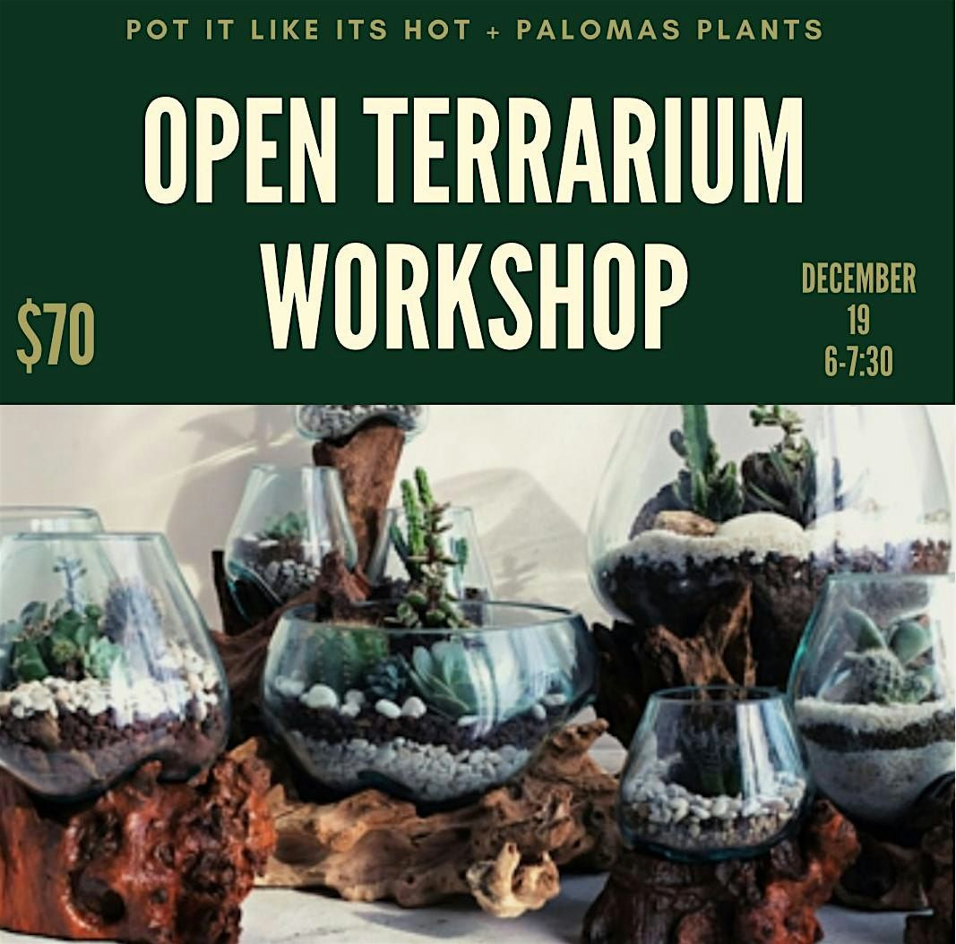 Open Terrarium Workshop at Paloma\u2019s