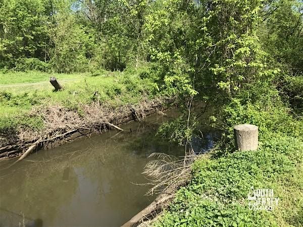 2025 D&R Canal Towpath Trail Clean Up