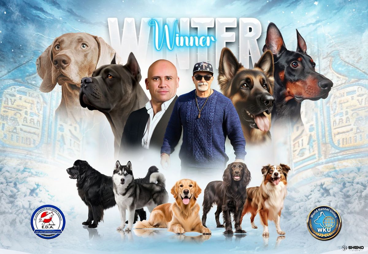 Winter Winner ( Champion Show )