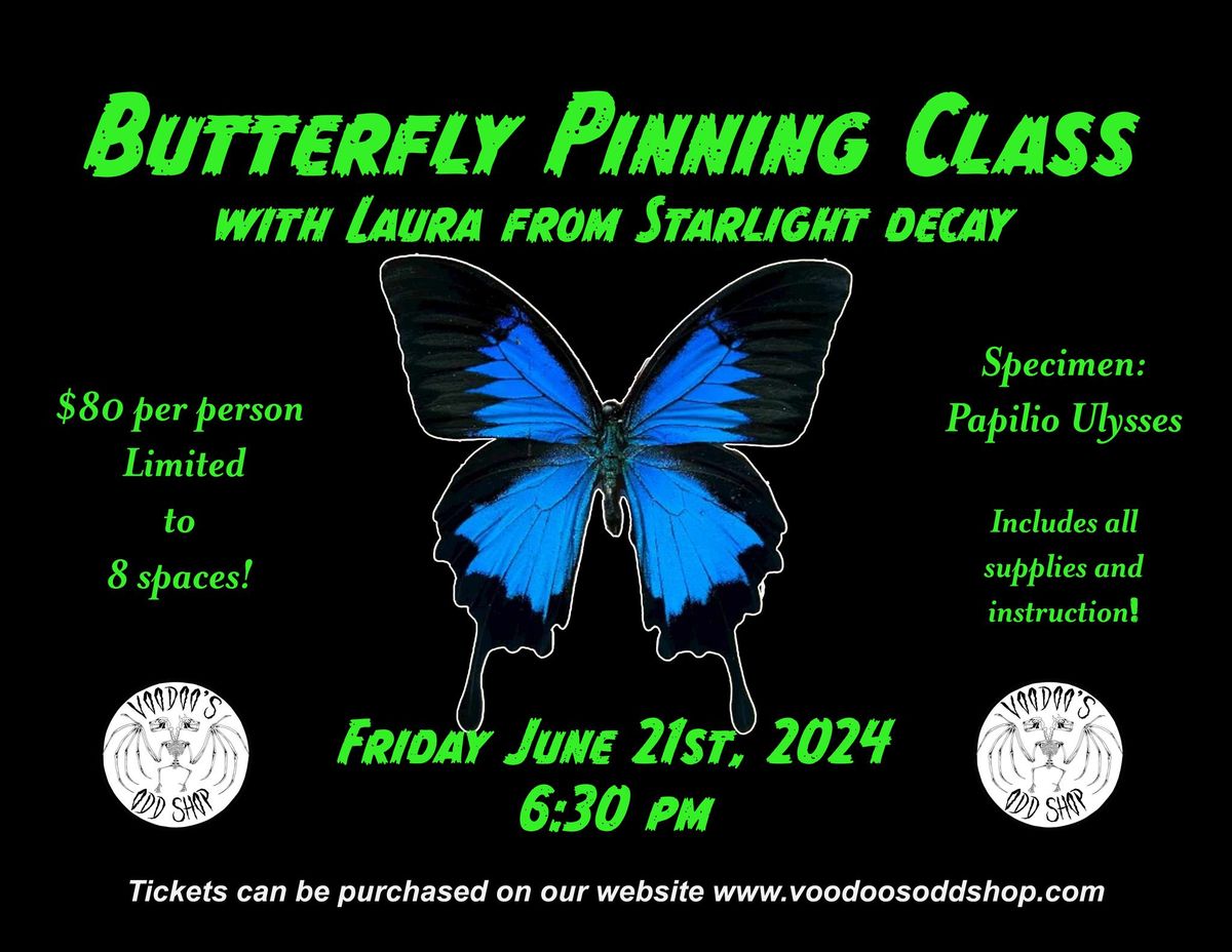 Butterfly Pinning Class at Voodoo's Odd Shop