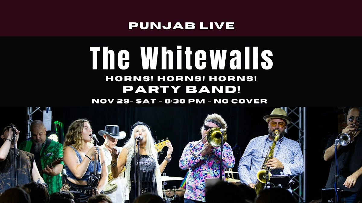 The Whitewalls @Punjab Live