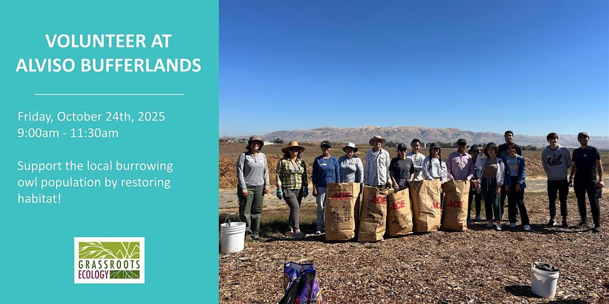 Volunteer Outdoors in Alviso at the Burrowing Owl Project (18+)