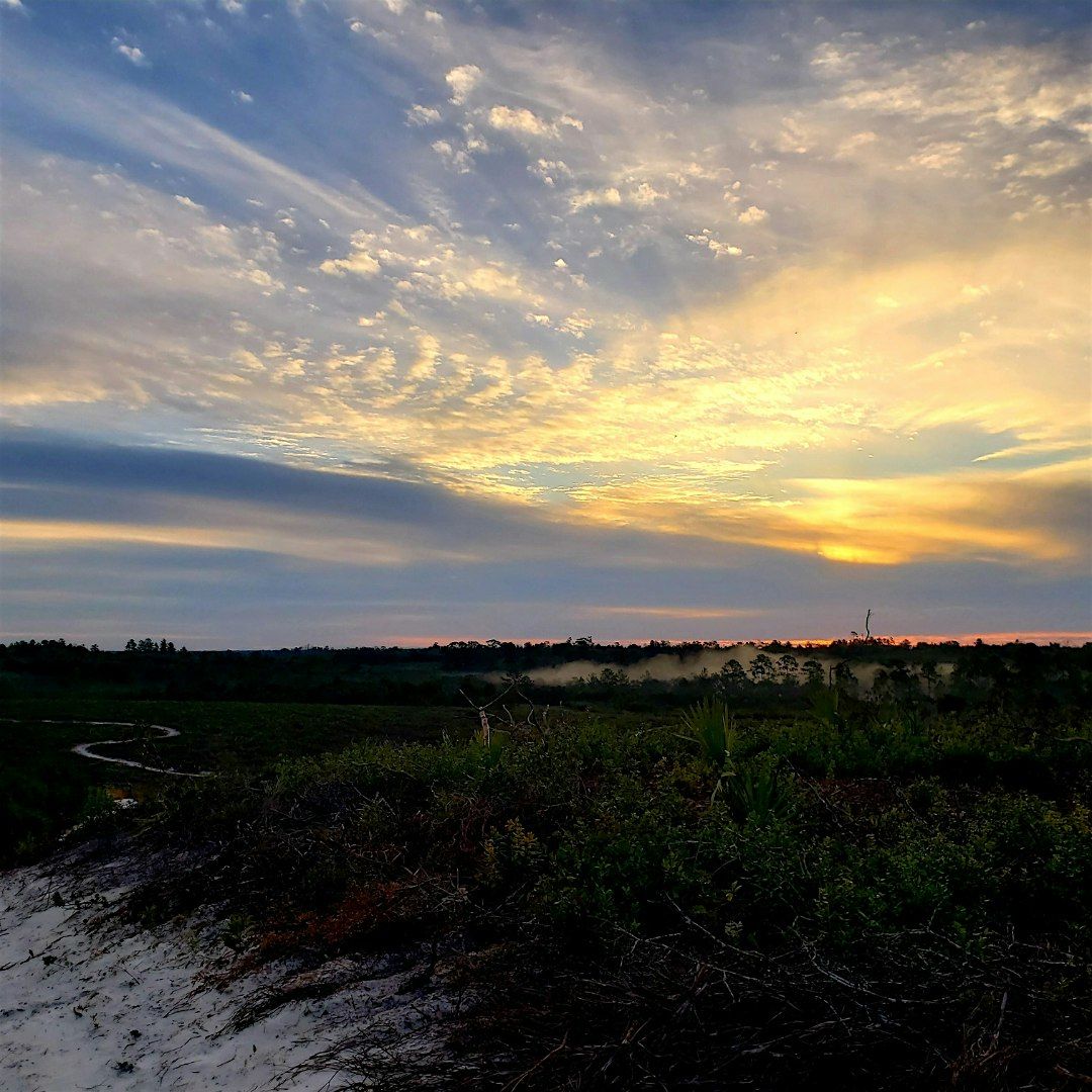 Sunrise in the Scrub Hike