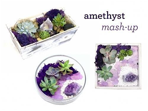 Plant Nite: Make a Succulent Terrarium