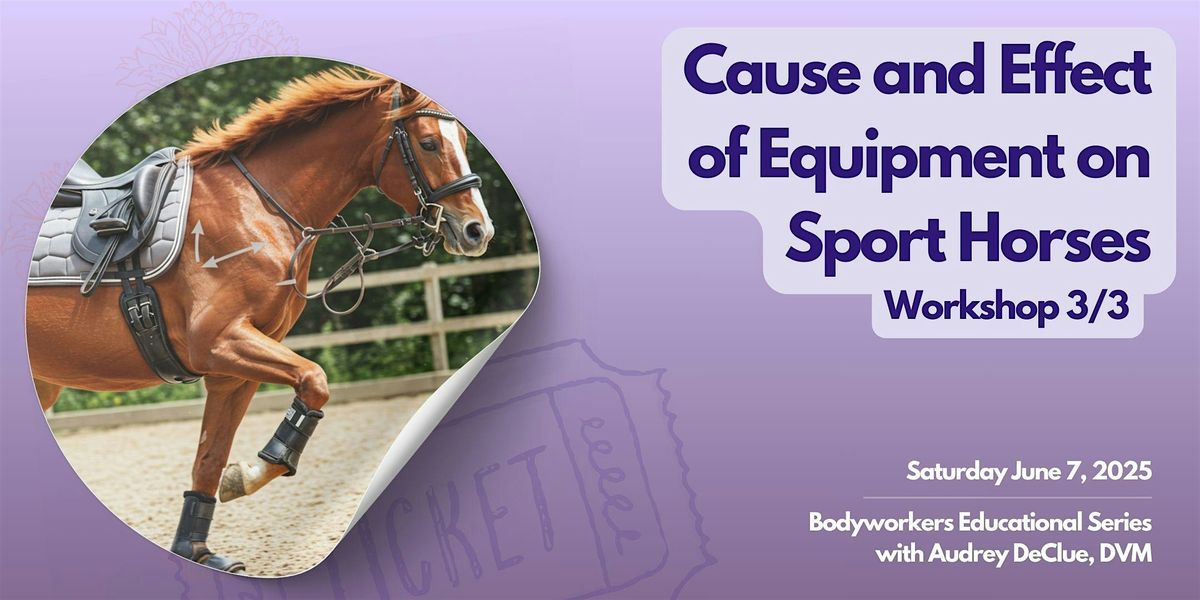 3\/3: Cause and Effect of Equipment on Sport Horses