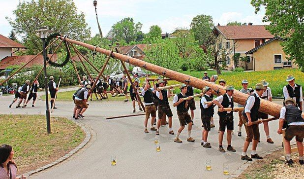 Maibaum aufstellen 2025 Fridolfing