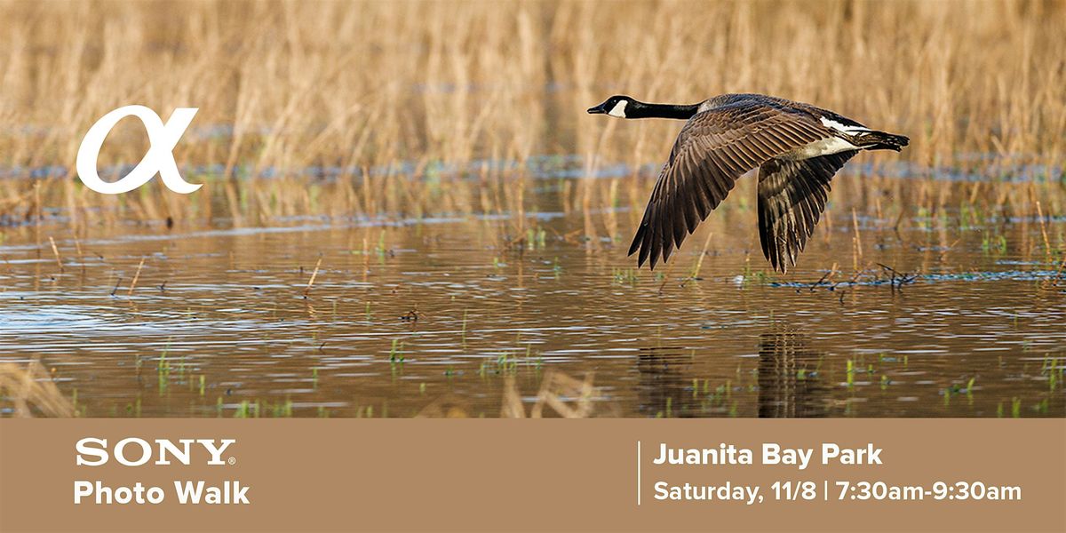 Juanita Bay Park Bird Photo Walk w\/Sony's Dan Hawk & Patrick-Murphy Racey