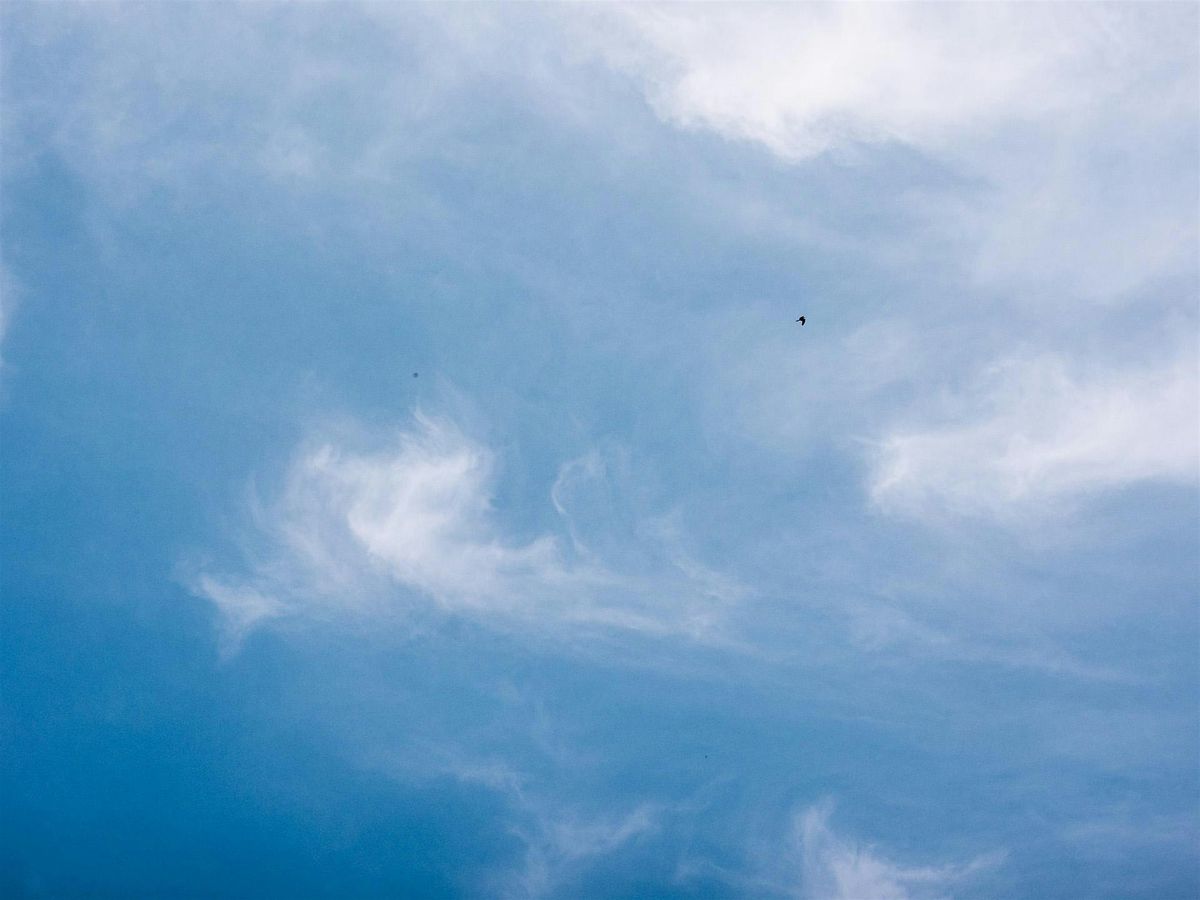 ATELIERS PHOTO - Th\u00e9orie et bases