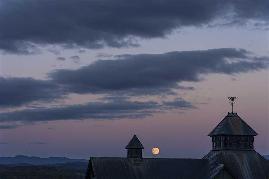 Good Night, Farmyard