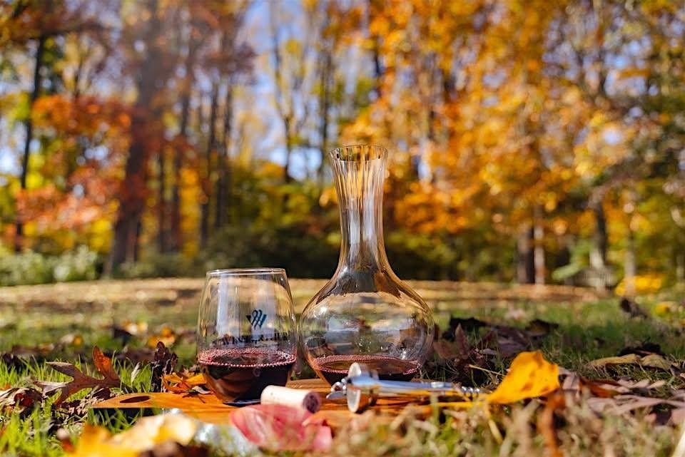 Fall "Flavor"ites to Accentuate Autumn
