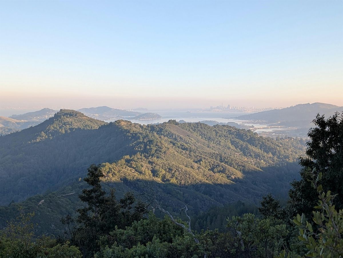 Hiking by Transit: Clipper 2.0 Launch Celebration - Mt Tamalpais hike