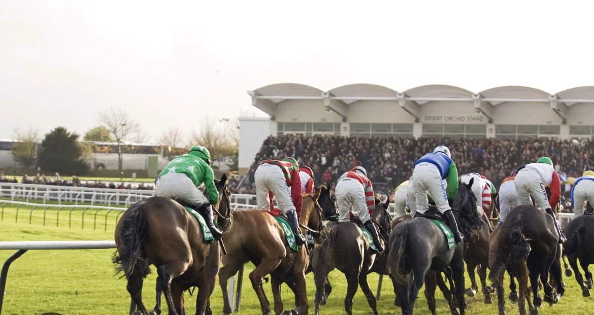 Cheltenham Countryside Day