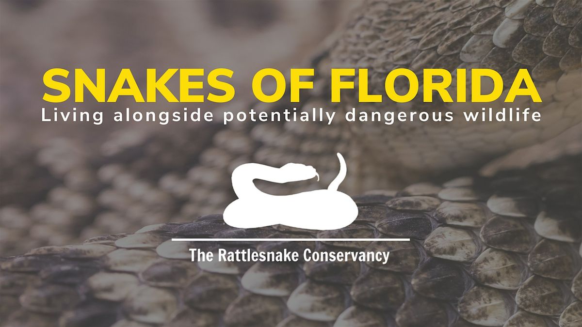 Wild Nite - Living Alongside Potentially Dangerous Wildlife