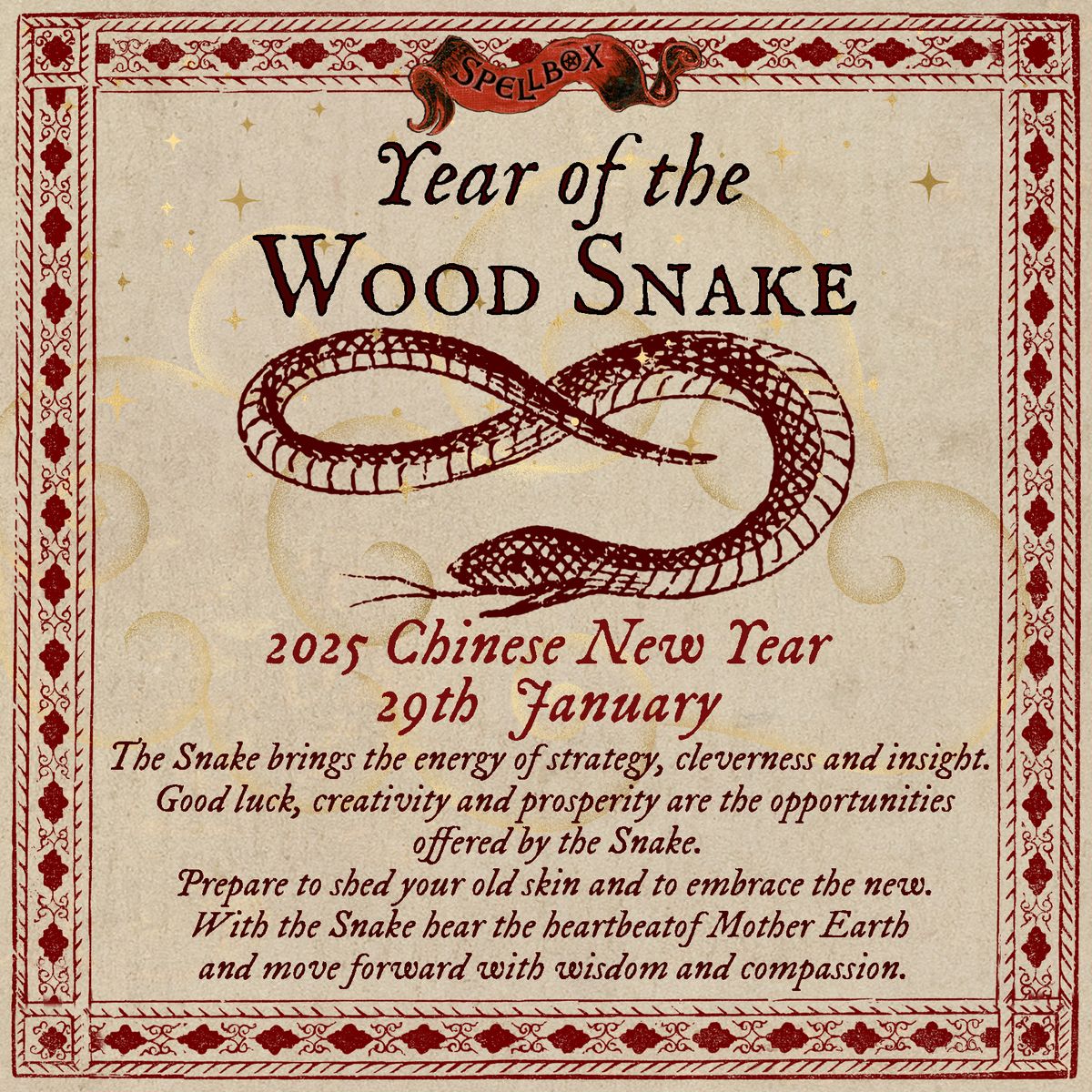 New Moon in Aquarius \/ Chinese New Year (Year of the Wood Snake) with Yuchen