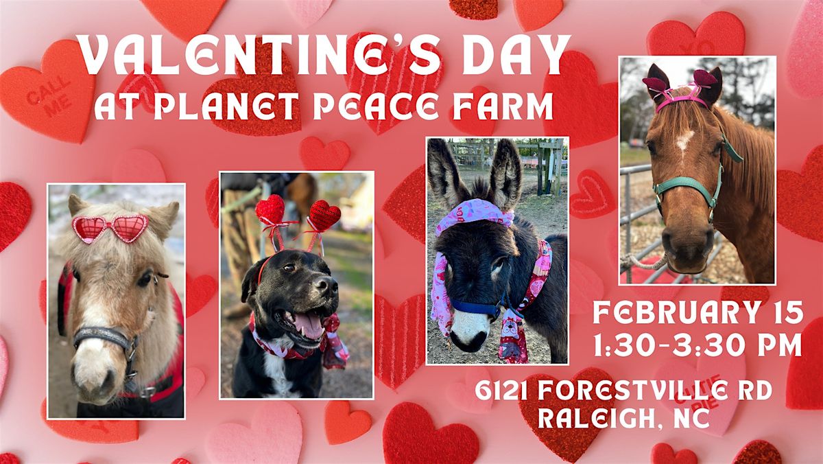 Valentine\u2019s Day at Planet Peace Farm