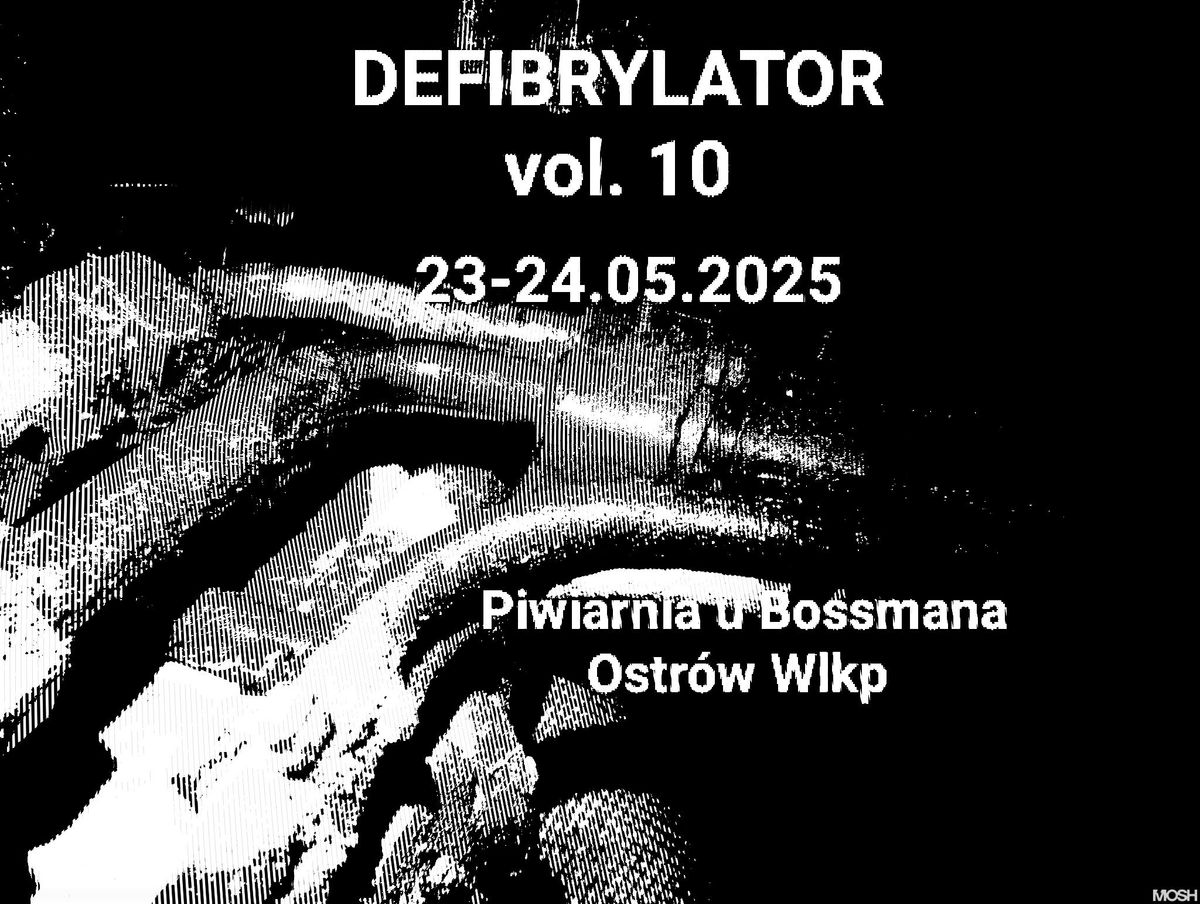 DEFIBRYLATOR vol. 10