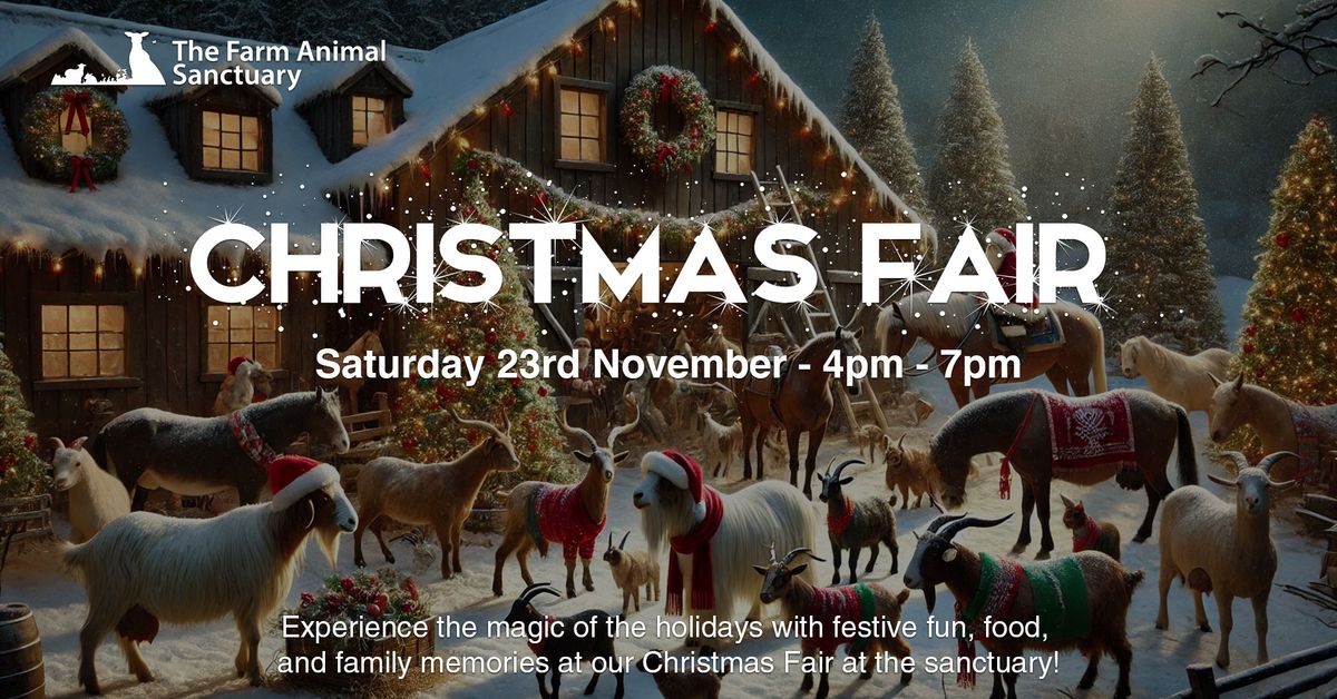 Christmas Festive Fair