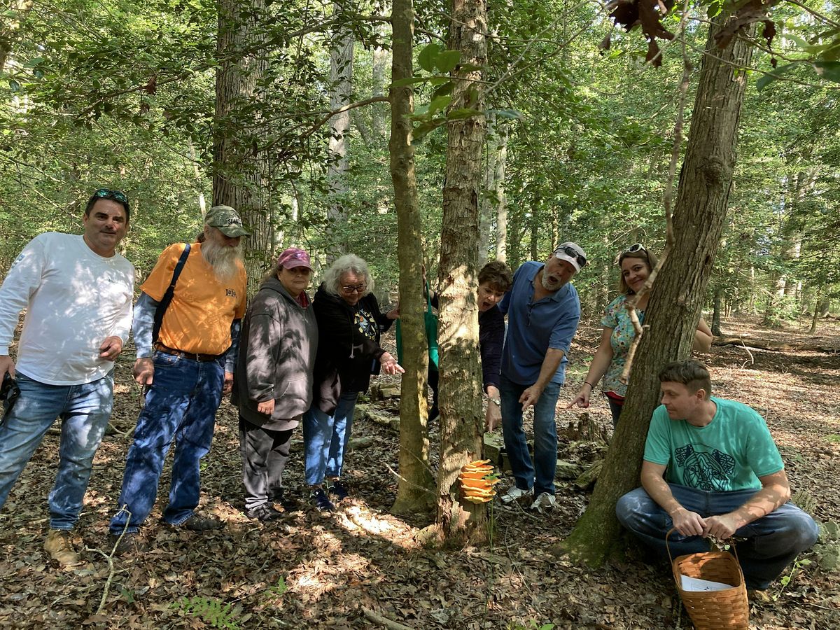 Mushroom 101 and Foraging Class