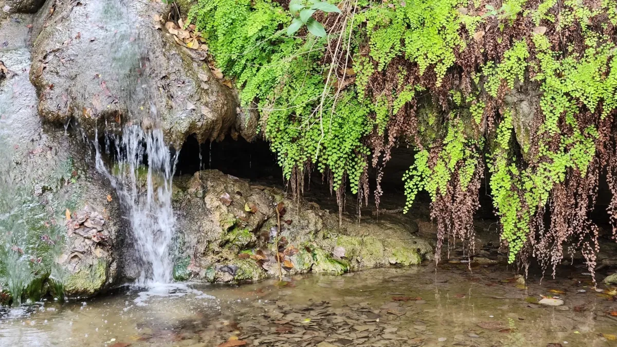Her Adventure Hike for Women--River Place Trail