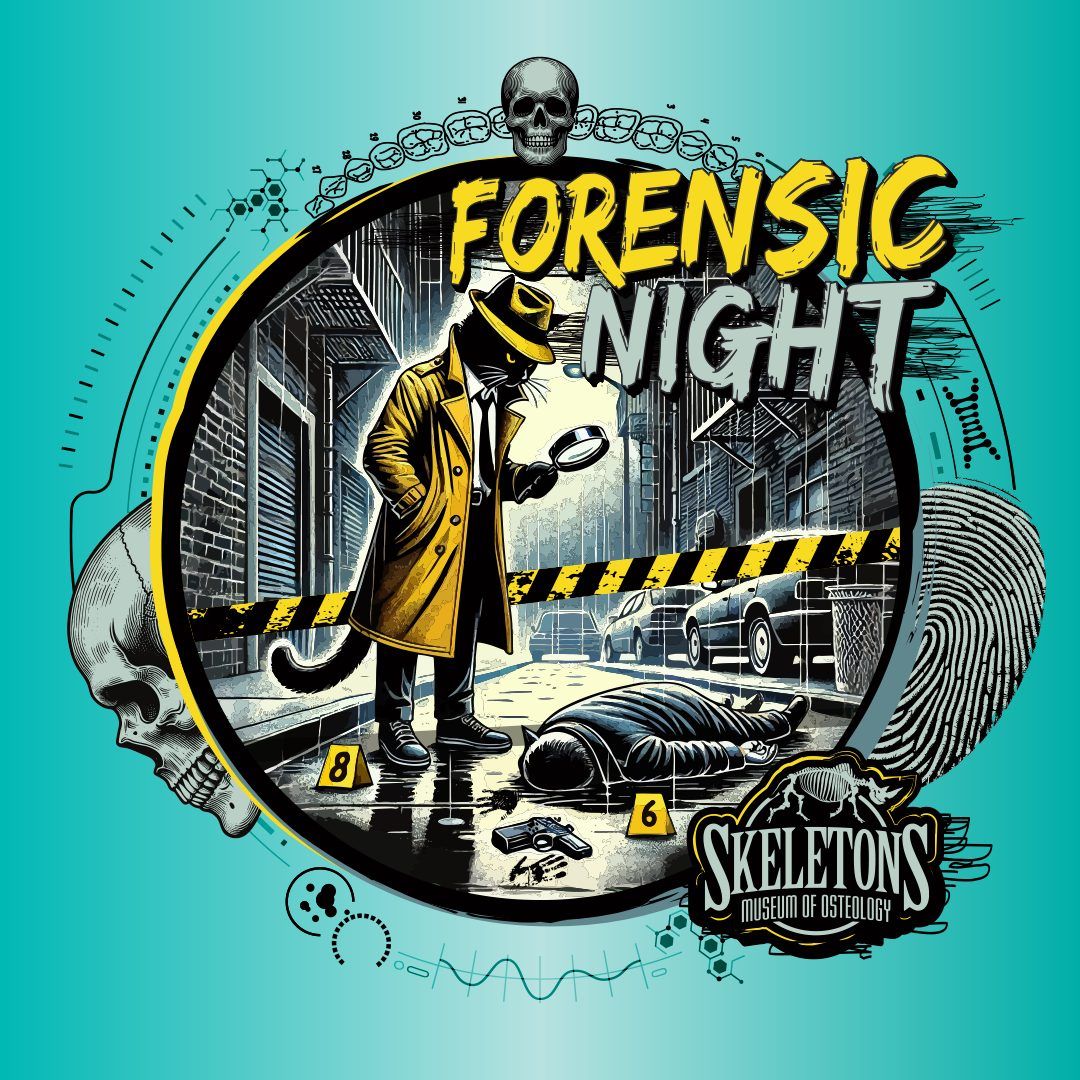 Forensic Night!