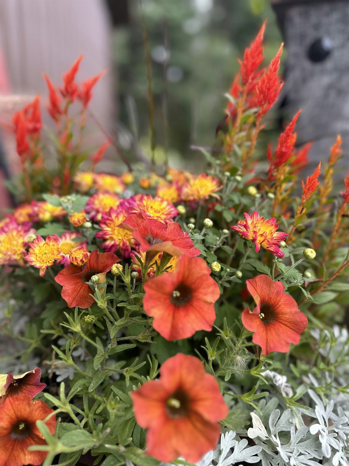 Fall Planter Workshop