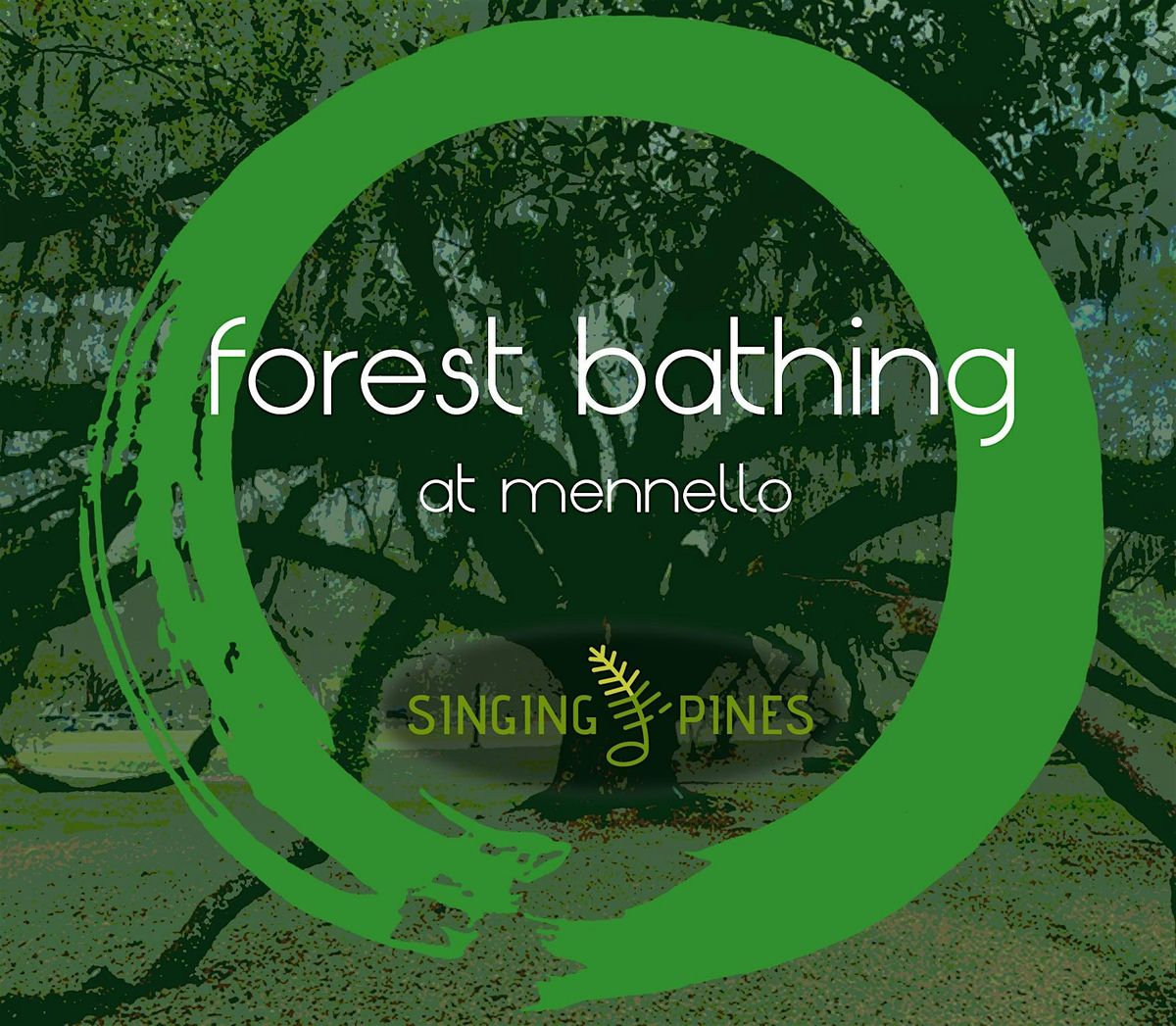 Forest Bathing at Mennello