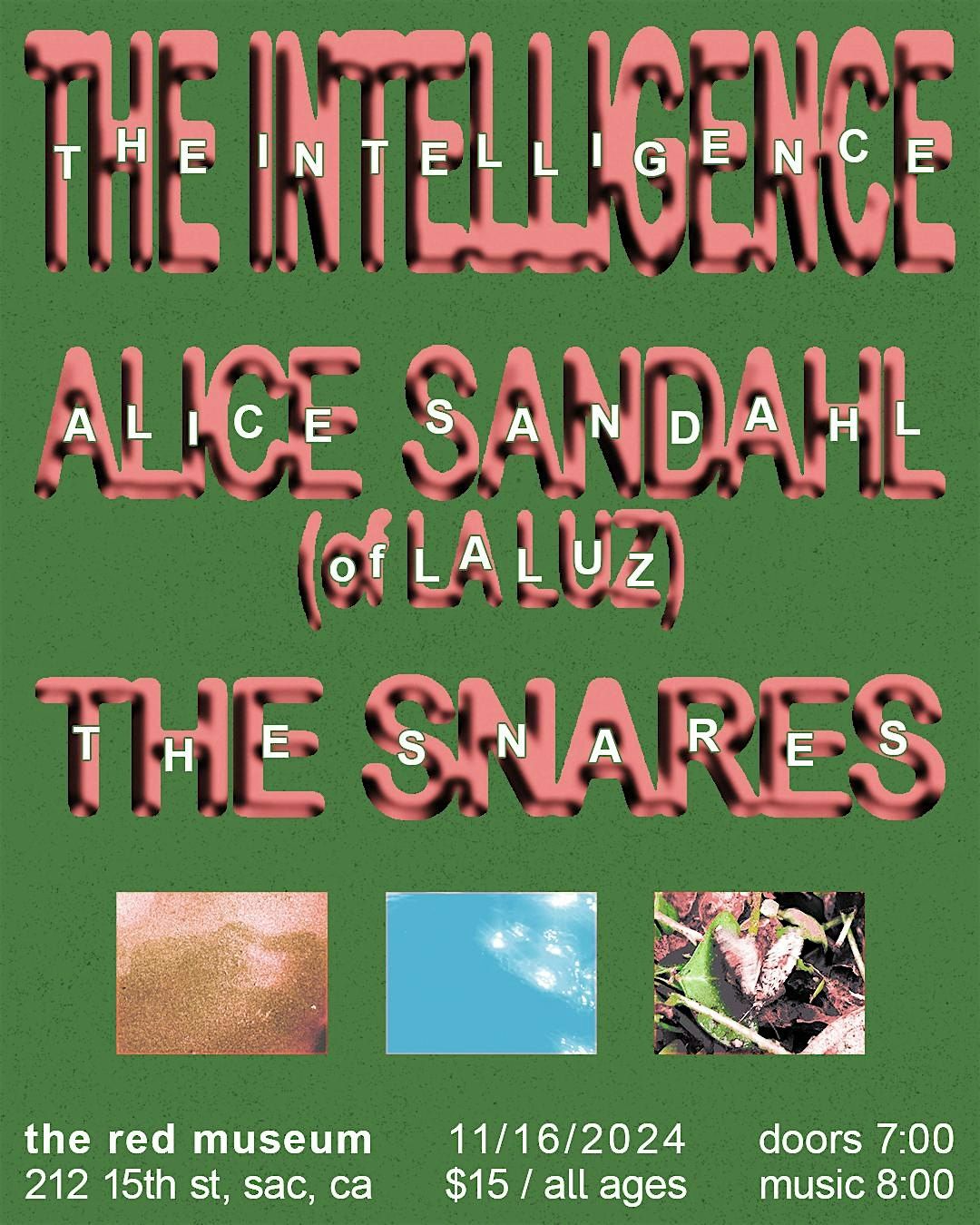 The Intelligence \/ Alice Sandahl (of La Luz) \/ The Snares