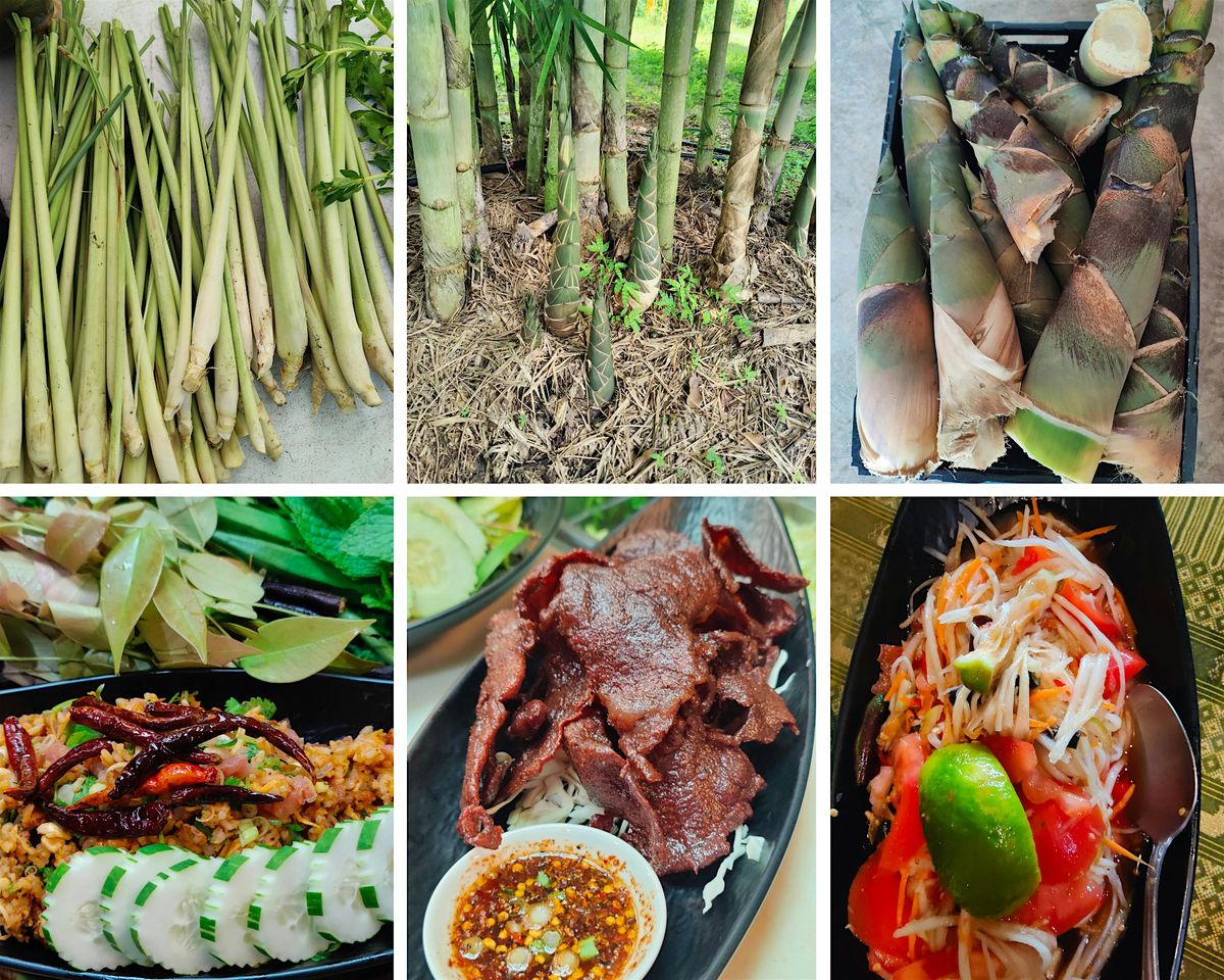 An Unforgettable Journey Through Authentic Lao Flavors