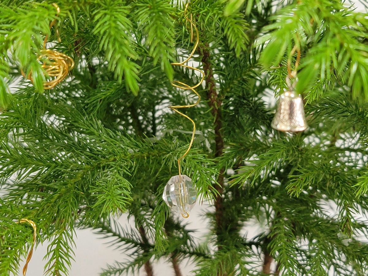 Sip & Spruce: A Holiday Table Tree Workshop at Lost Trail Winery