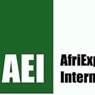 AFRIEXPERTS INTERNATIONAL