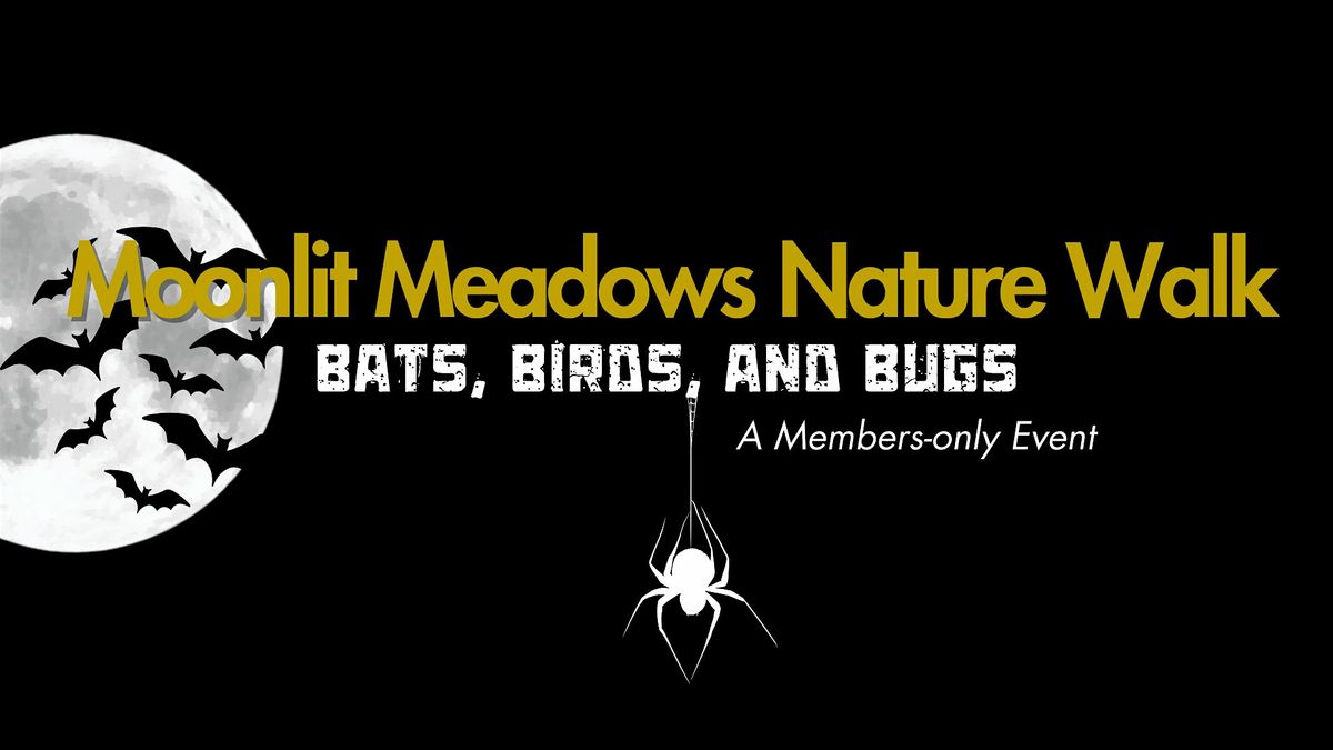 Moonlit Meadows: Nature Walk