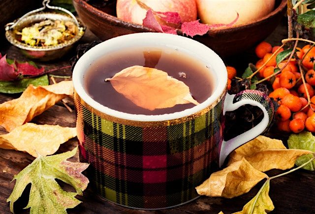 Fall Tea Latte Workshop, 5356 Peachtree Rd, Chamblee, 8 November 2025