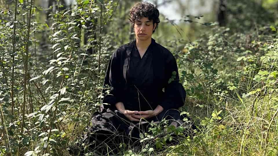 Curs de Zazen, Meditaci\u00f3 Zen.