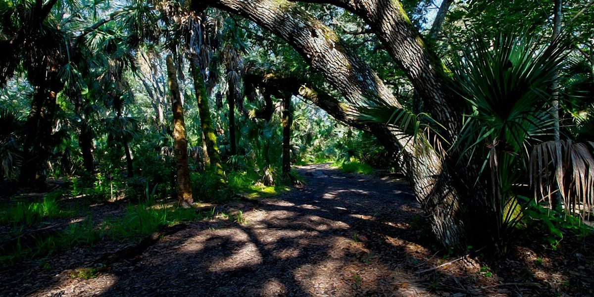 Pelican Island Audubon's Junior Guide Adventure Camp 2025