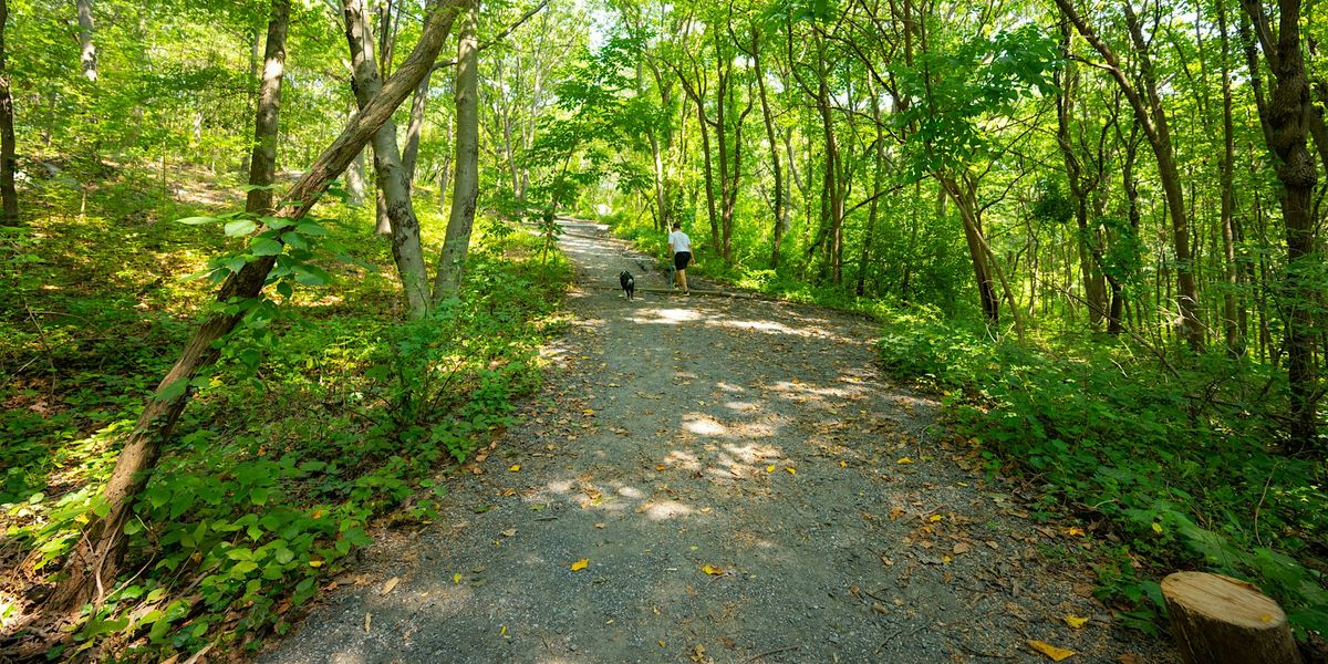 Trail Work  Thursdays