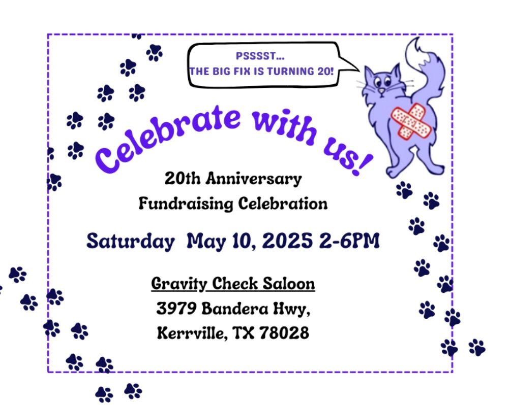 20th Anniversary Fundraising Celebration 