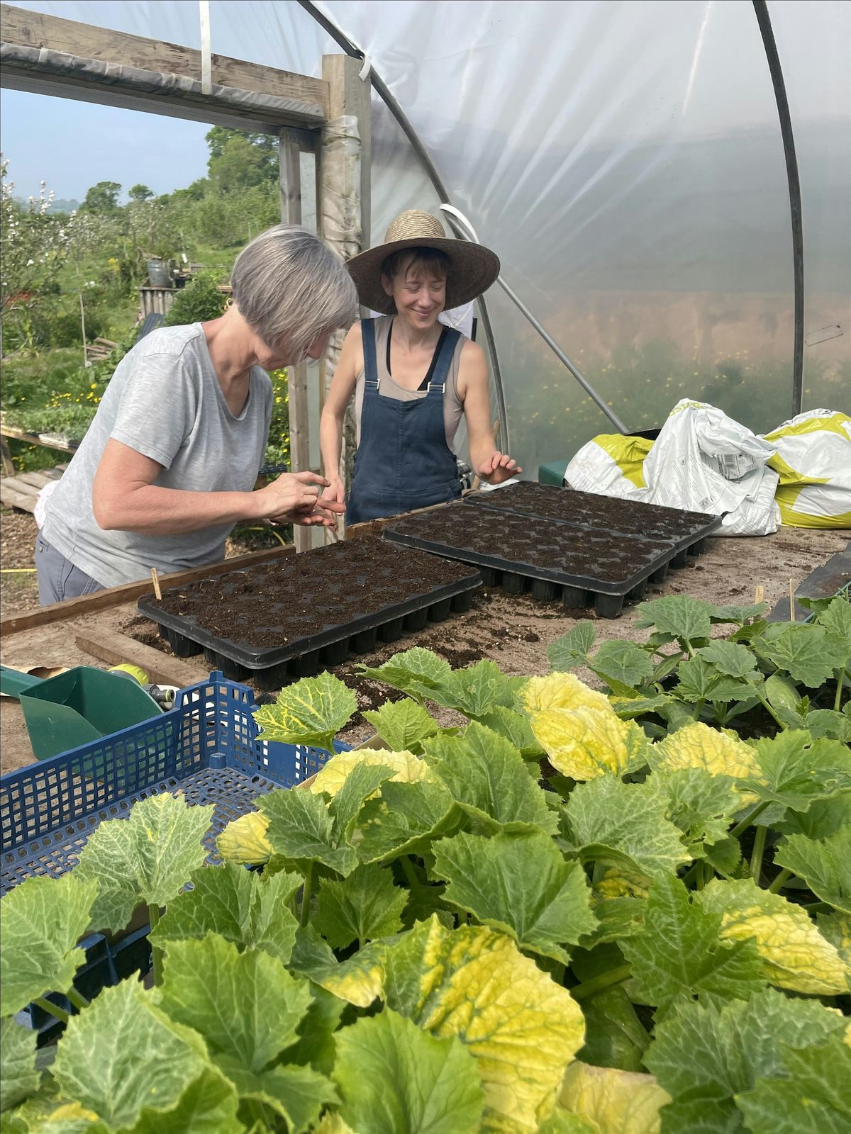 Teign Greens Volunteer Morning!