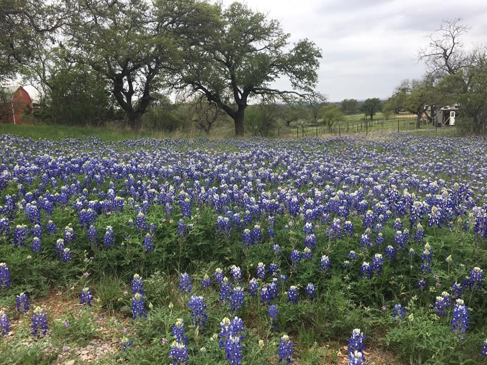 Texas Travelers Fall 2024 Rally