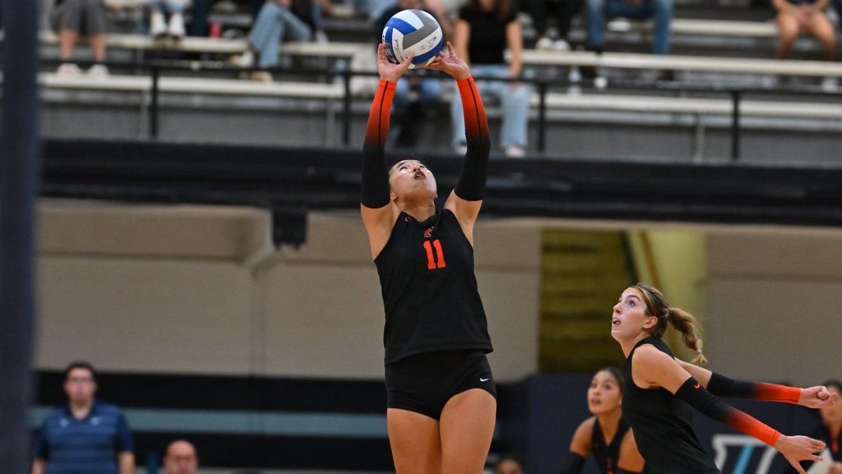 Princeton Tigers vs. Loyola Greyhounds