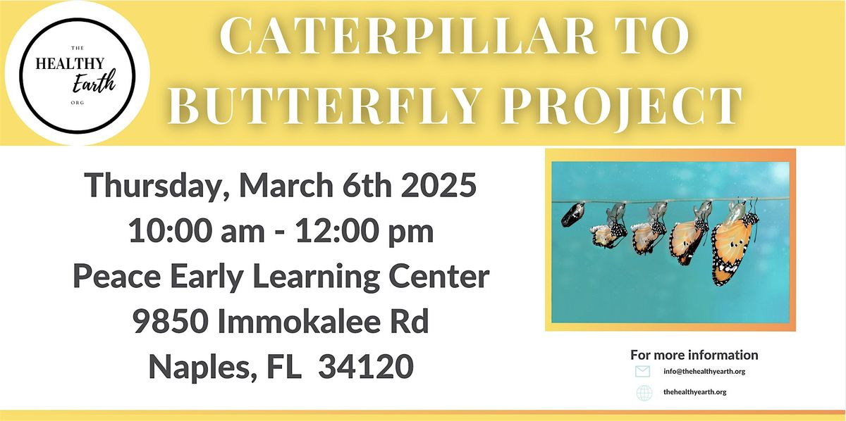 Caterpillar to Butterfly Project at Peace Early Learning Center