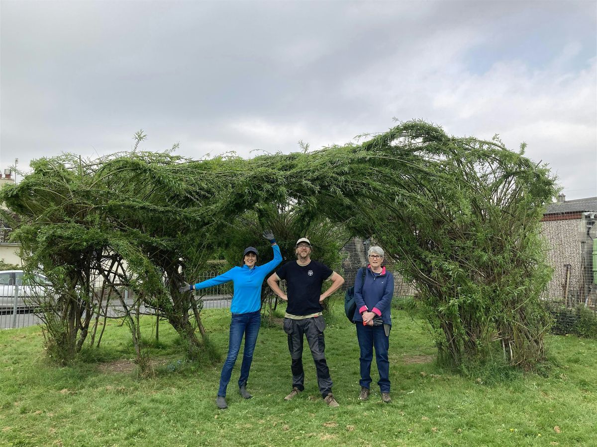 Willow pruning & weaving