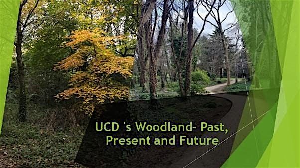 UCD 's Woodland- Past,Present and Future