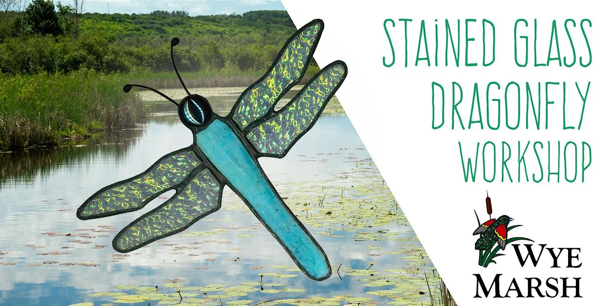 Stained Glass Dragonfly Workshop