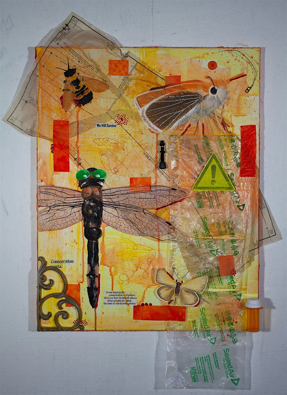 Cardboard Collages with Glass Case Gallery Artist Jupiter Ray