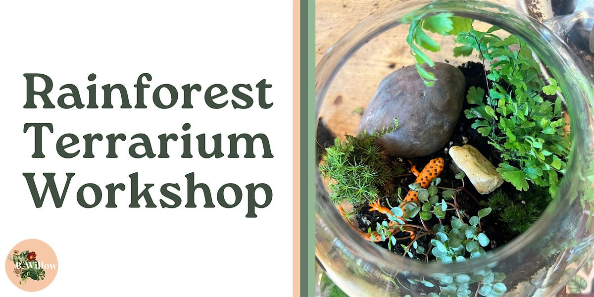 Rainforest Terrarium Workshop